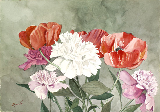 Poppies