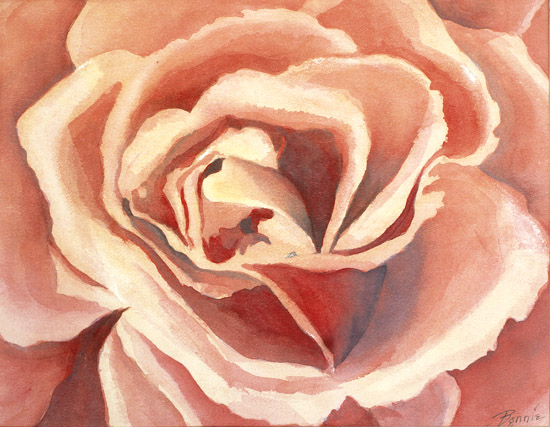 Rose Patterns