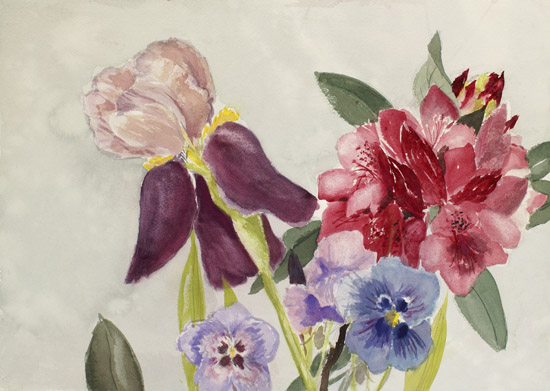 Summer Blooms
