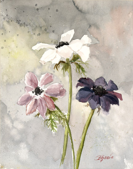Three Anemones