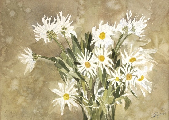 White daisies