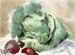 Cabbage & Beets