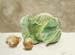 Cabbage & Onions