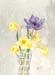 Daffodils and Clematis