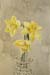 Daffodils in Crystal Vase