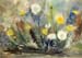 Dandelions