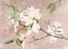 Dogwood Branches