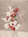 Dogwood in Crystal Vase