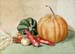 Harvest Still Life