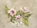 Hibiscus syriacus