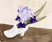 Iris in a Glass Slipper