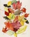 Leaf Compilation