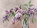 Lilac in Glass Vase