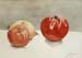Onions & Tomatoes