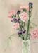 Pink Carnations & Statice