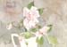 Pink Roses in Pitcher