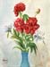 Red & White Peonies