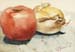 Tomato & Onion
