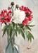 White & Red Peonies