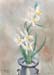White with Yellow Irises