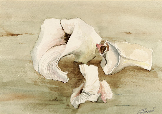 Bones