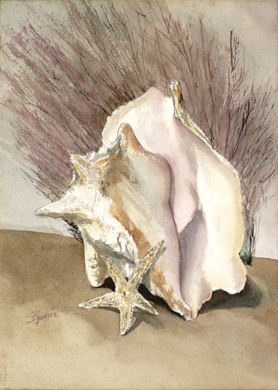 Conch with Starfish