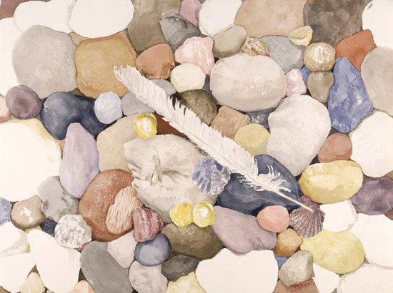 Feather & Stones