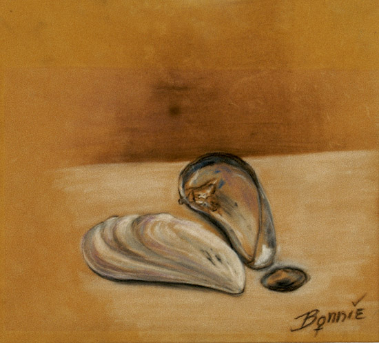 Mussel Shells