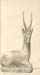 Antelope Statue