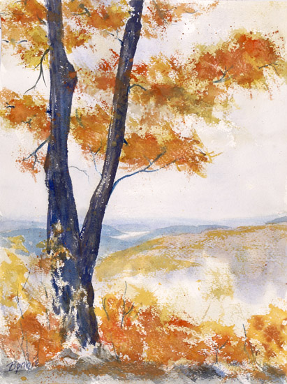 Autumn Maple
