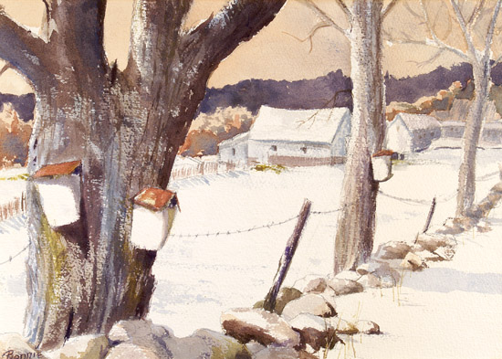 Bird Houses in Vermont