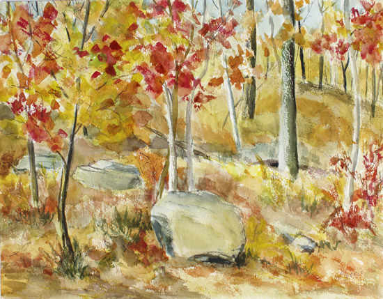 Boulders in the Woods