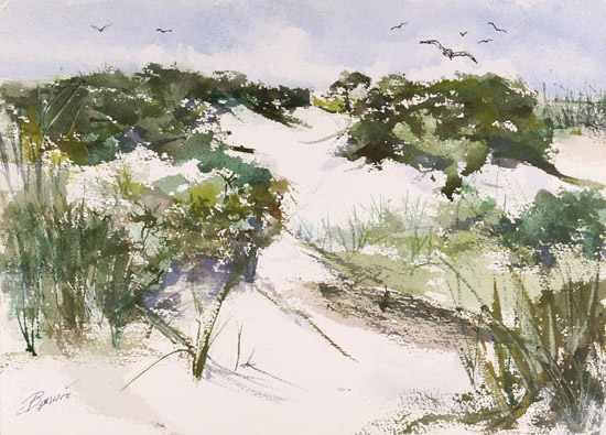 Dunes with Seagulls