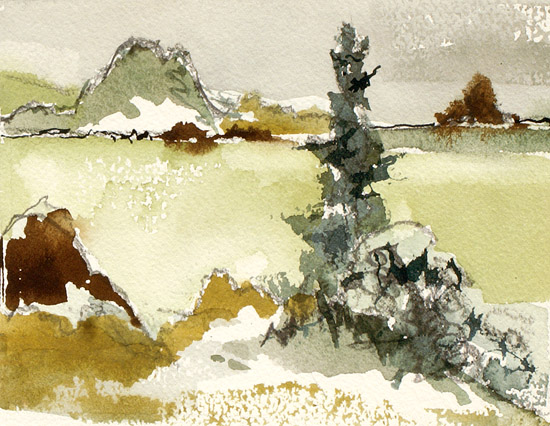Overlook with Pine