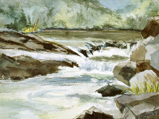 Pittsfield Falls