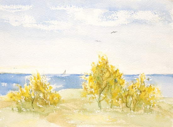 Sailing in Autumn