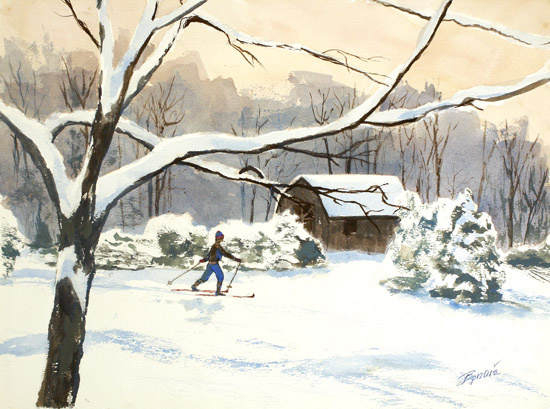 Skier