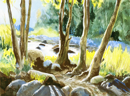 Stream Through the Trees