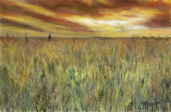 Sunset Field