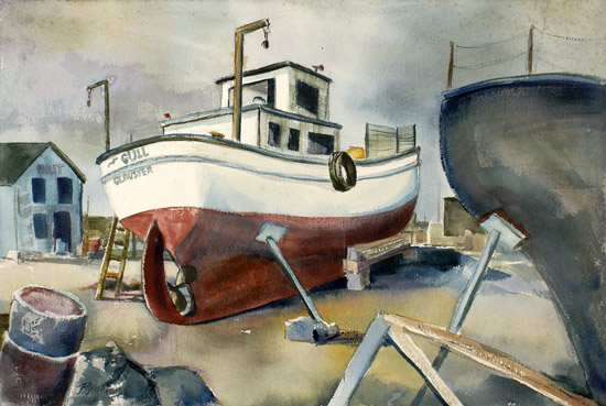 The Gull