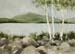 Lake Birches
