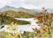 Mountain Lake