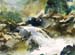 Mountain Stream