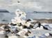 Rocky Shore