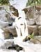 Spring Run Off