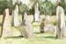 Standing Stones