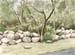 Stone Wall